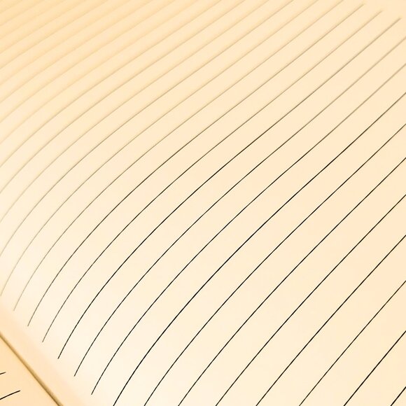 Birdie - Novelty Journal - Picture 5 of 5